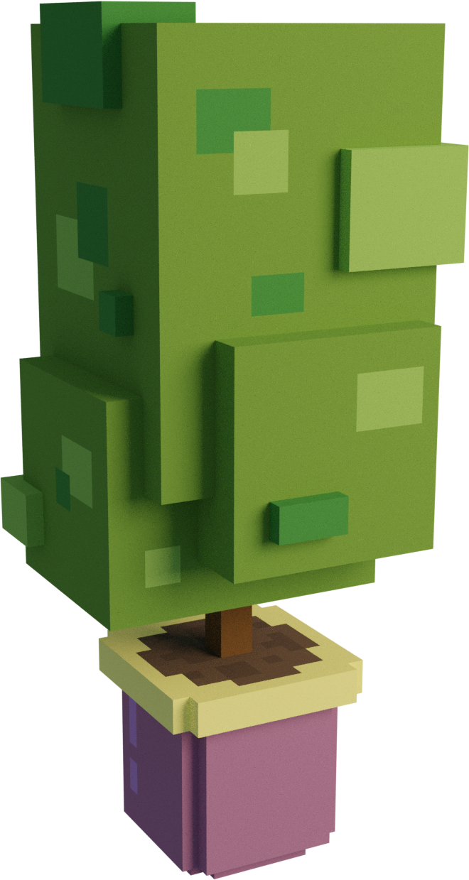 Plant Plant